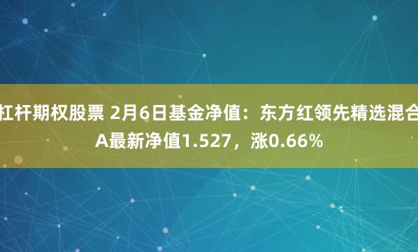 杠杆期权股票 2月6日基金净值：东方红领先精选混合A最新净值1.527，涨0.66%