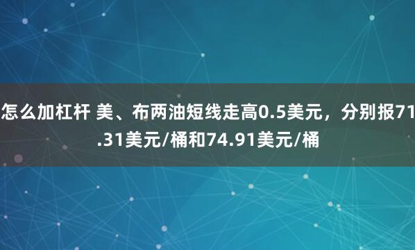 怎么加杠杆 美、布两油短线走高0.5美元，分别报71.31美元/桶和74.91美元/桶
