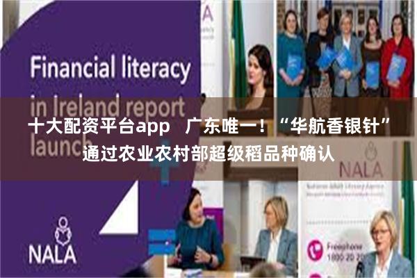 十大配资平台app   广东唯一！“华航香银针”通过农业农村部超级稻品种确认