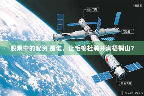 股票中的配资 是谁，让毛棉杜鹃开满梧桐山？