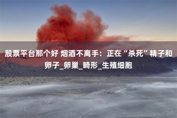 股票平台那个好 烟酒不离手：正在“杀死”精子和卵子_卵巢_畸形_生殖细胞