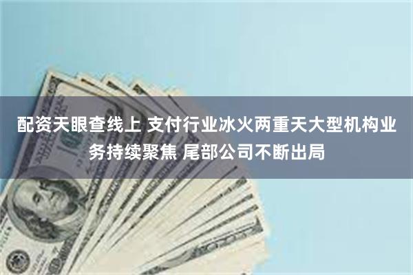 配资天眼查线上 支付行业冰火两重天大型机构业务持续聚焦 尾部公司不断出局