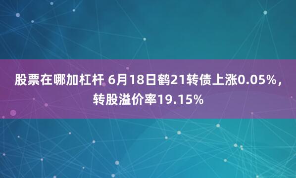 股票在哪加杠杆 6月18日鹤21转债上涨0.05%，转股溢价率19.15%