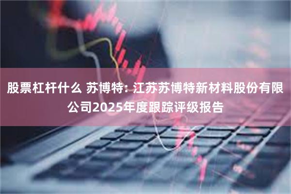 股票杠杆什么 苏博特: 江苏苏博特新材料股份有限公司2025年度跟踪评级报告
