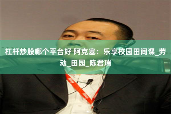杠杆炒股哪个平台好 阿克塞：乐享校园田间课_劳动_田园_陈君瑞