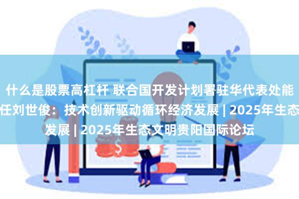 什么是股票高杠杆 联合国开发计划署驻华代表处能源与环境处项目主任刘世俊：技术创新驱动循环经济发展 | 2025年生态文明贵阳国际论坛