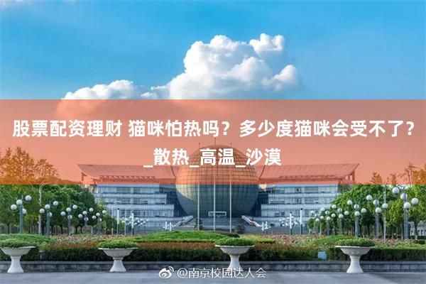 股票配资理财 猫咪怕热吗？多少度猫咪会受不了？_散热_高温_沙漠