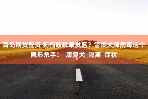 青岛期货配资 狗狗咳嗽眼发蓝？警惕犬腺病毒这个隐形杀手！_康复犬_隔离_症状