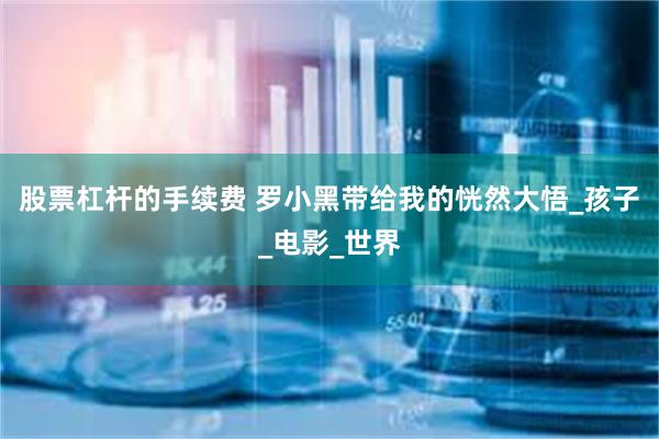 股票杠杆的手续费 罗小黑带给我的恍然大悟_孩子_电影_世界